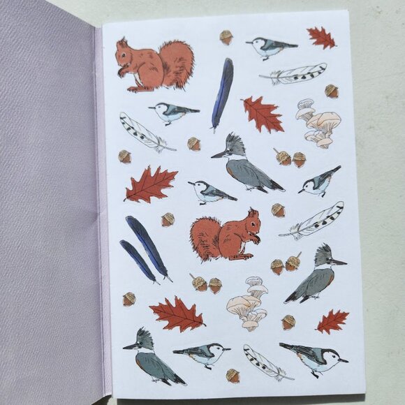 Nature Anatomy Sticker Book Julia Rothman 750 Stickers birds, feathers, wildflow - Picture 8 of 15